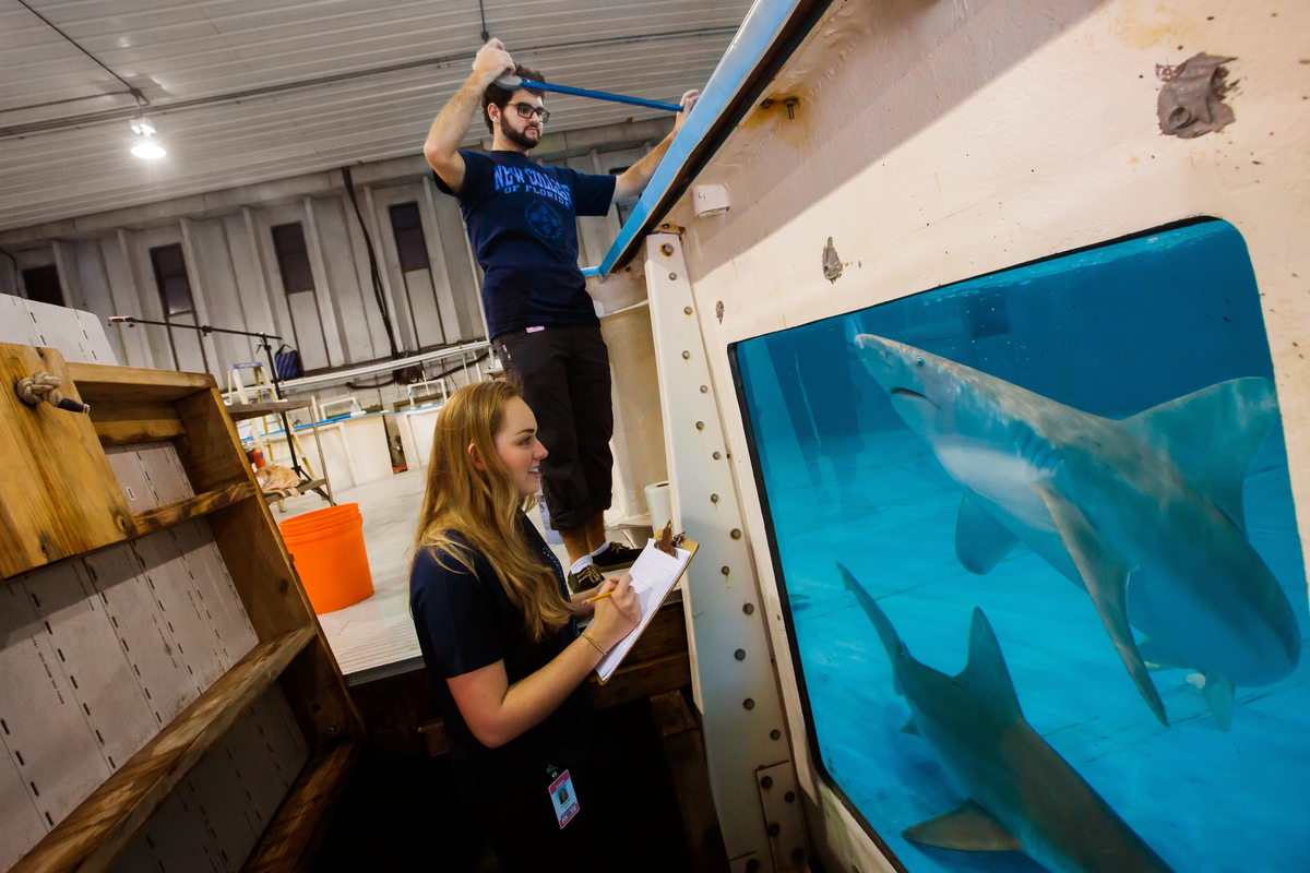 New College of Florida Colleges That Change Lives