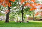 Ten students sit in a circle on a green lawn, surrounded by leafy trees and red brick buildings.